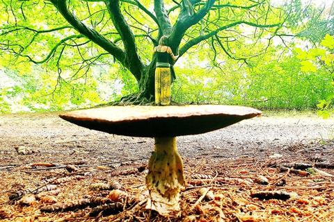 Themenwoche: Kraftorte und ihre multidimensionalen Ebenen