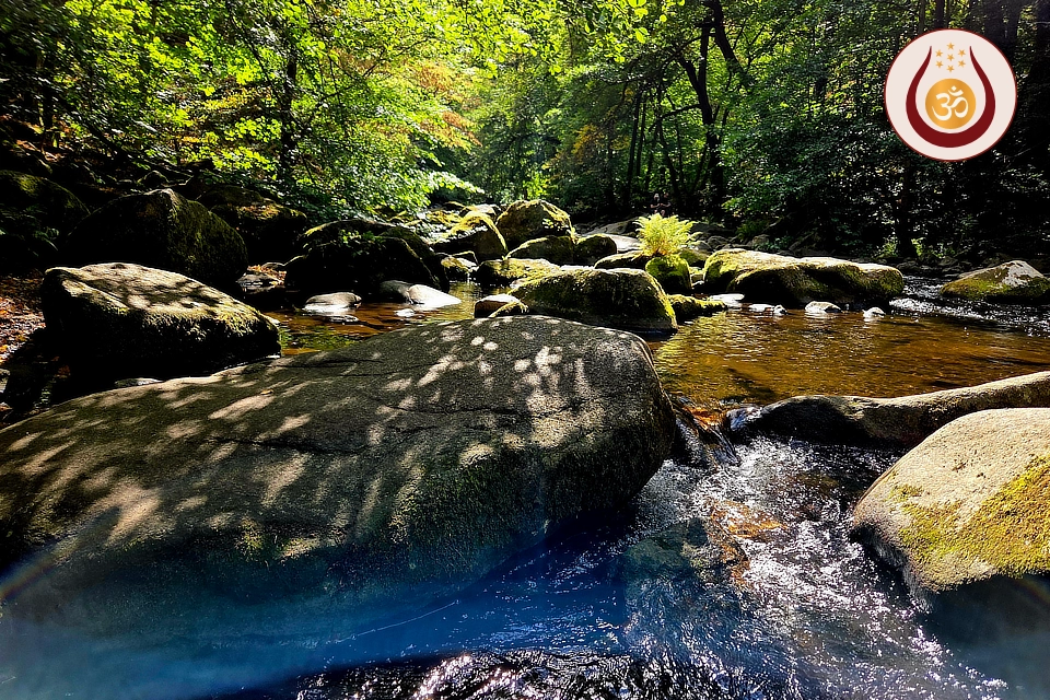 Loslassen und Auftanken im Harz mit Saft-Fasten